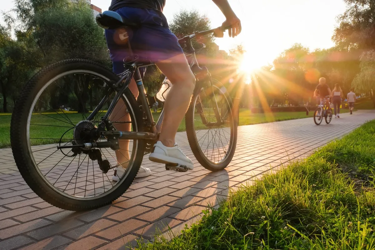 A cyclist riding along a paved park path into the low evening sun.