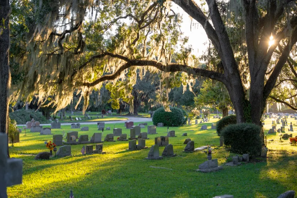 Sunlight through moss-draped oak trees over the headstones of a quiet cemetery.